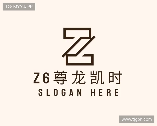 了解z6尊龙凯时